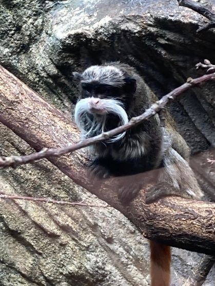 13___vylet_do_zoo_a_rozlouceni_s_druzinou