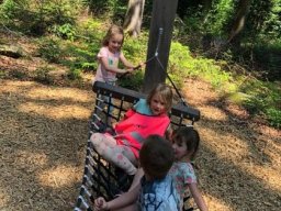 05_areal_lesnich_her_prachatice