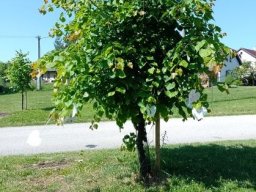 11___cesta_prvnaku_za_pokladem