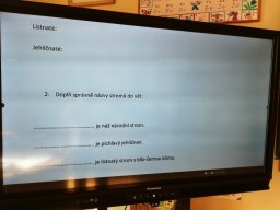 Projektová výuka v 1. a 2. ročníku