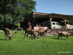 02_navsteva_obory