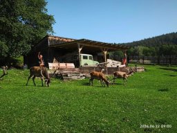 04_navsteva_obory