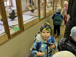 15_za_zviratky_do_vimperka